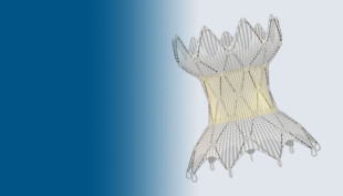 A CHOP investigator led clinical trials to test the Harmony Transcatheter Pulmonary Valve™, which is used to treat leaky hearts. Image courtesy of Medtronic, Inc.