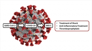 Illustration of treatment for MIS-C