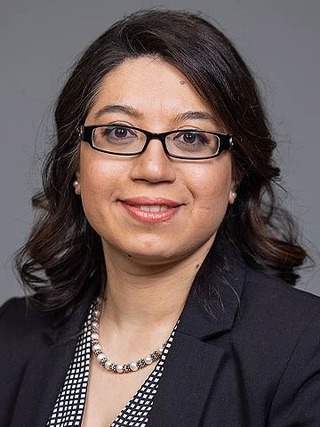 Hamideh Parhiz, PharmD, PhD