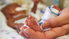Hand holding preemie baby foot